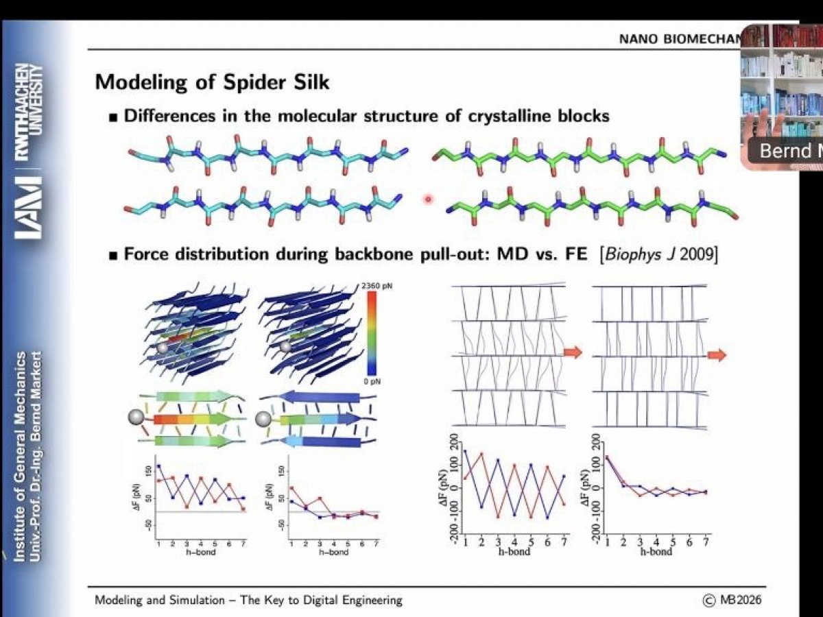 В межах проєкту The BRIDGE відбулись міжнародні онлайн-майстеркласи